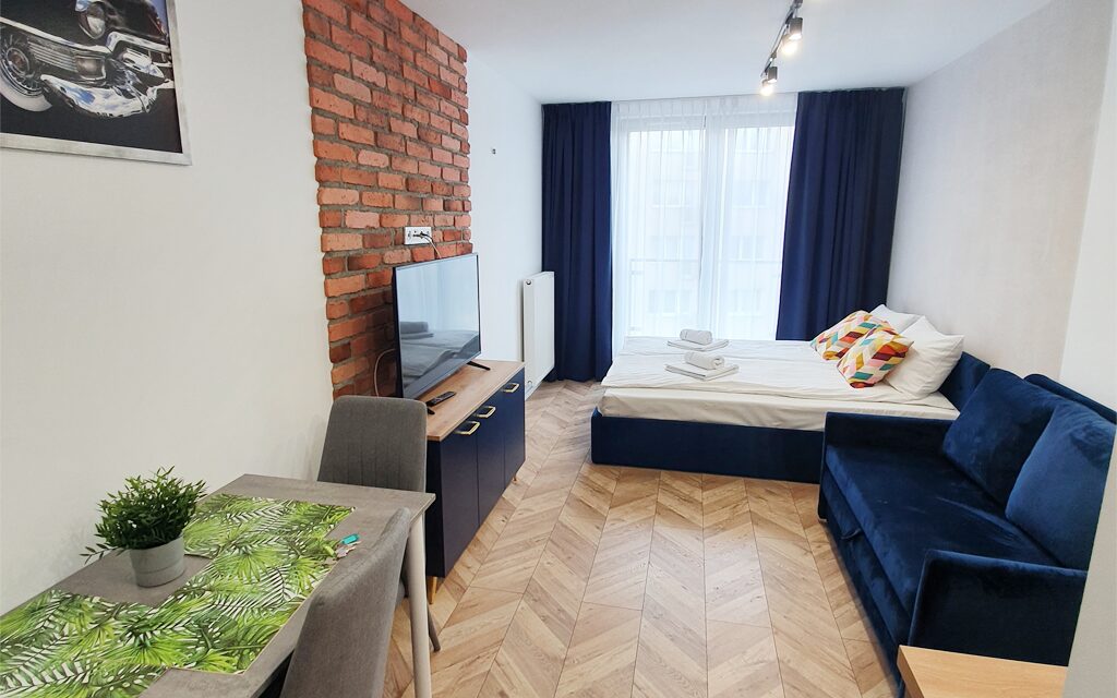 Ice Apartments, ul. Bałuckiego 29, Kraków: wnętrze studia